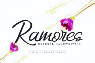 Choosing the Right Font for Your Website: A Real-World Test with Ramores