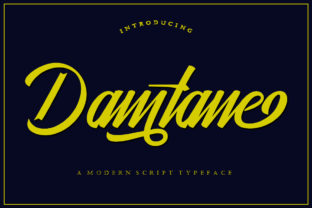 Damtane: A Versatile Script Font for Modern Branding