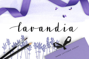 How Lavandia Transformed My Brand’s Visual Identity