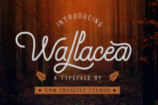 Wallacea Font for Romantic Branding Projects